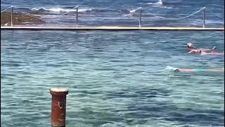 Sydney Wylies Baths swimming pool near Coogee Beach in the Eastern Suburbs [upl. by Amabelle]