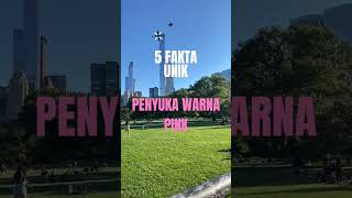 5 fakta unik penyuka warna pink facts warnapink [upl. by Gui]