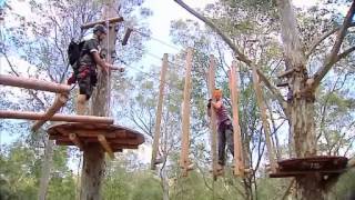 TreeTop Adventure Park Sydney as featured on Sydney Weekender [upl. by Mchugh286]