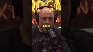 Joe Rogan  Is Tommy Fury A Real Boxer [upl. by Siramay771]