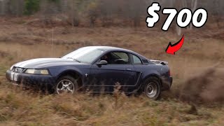 Testing the CHEAPEST Mustang on Marketplace [upl. by Ahgiel]