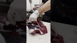 Removing the Deer Femur Bone 🔪🦌 shorts deer venison butcher [upl. by Adnima964]