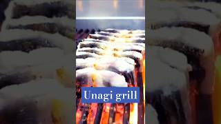 How to Make Perfect Japanese Grilled Eel at Home [upl. by Krystal45]