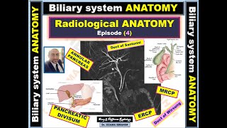 Radiological anatomy episode 4 Biliary system Anatomy [upl. by Abelard]