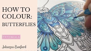 Colouring Tutorial  How to Colour Butterflies lots of them [upl. by Ybloc535]