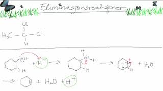 Eliminasjonsreksjoner [upl. by Feld]
