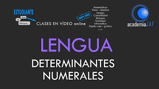 Los determinantes numerales  Lengua Española análisis morfológico  academia JAF [upl. by Ardnosac94]