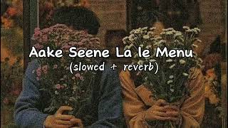 Aake Seene La le Menu slowed reverb sad songs music reverb slowedandreverb [upl. by Saduj]