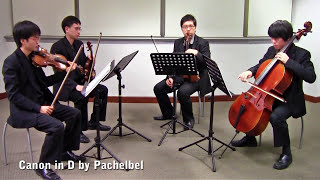 Canon in D by Pachelbel Vetta Quartet from Singapore [upl. by Ecaroh374]