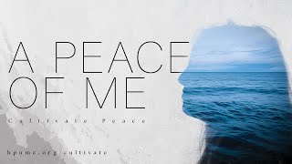 Cultivate Peace Bumper [upl. by Nnylidnarb322]