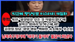 추적박근혜 평양 방문 미스터리 재점화남북축구경기에 태극기들자 불같이 화낸 아유 [upl. by Adlemi]