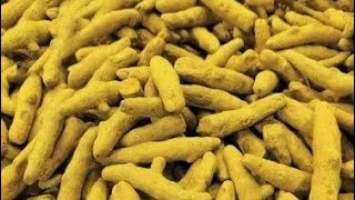 Turmeric market price today November 03 2024 हल्दी का आज का रेट क्या है [upl. by Yatnuahc]