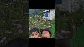 Family trip to hornbill homestay pakkekessang cosmosflower explorepage nature cottage  fyp [upl. by Llehcal]