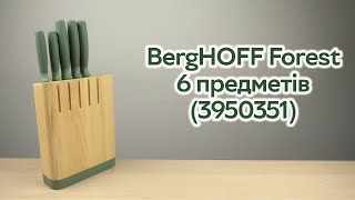 Розпаковка BergHOFF Forest в колоді 6 предметів 3950351 [upl. by Fredric]