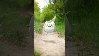 Togedemaru is on a roll ⚡️🔩 PokemonGO [upl. by Iadam276]