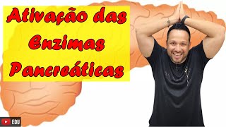 Ativação das Enzimas Pancreáticas  Tripsina Quimotripsina e Carboxipolipeptidase  Digestão [upl. by Haliek]