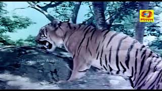 Rajinikanth Fight Scene with tiger  Annai Oru Aalayam [upl. by Snapp]