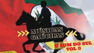 MUSICAS GAUCHAS O SOM DO SUL VOL 3 [upl. by Einnus281]