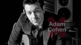 Adam Cohen  Performance quotSo Long Mariannequot [upl. by Gavrah]