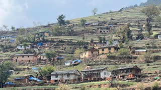 Visiting Beautiful Nepali Mountain Village  Rural Village Life in Barekot  IamSuman [upl. by Jobye]