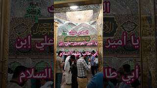 Ziyarat hazrat imam ali as hazratalias molaali shortsfeed subscribe shortsviral shia najaf [upl. by Crowe]