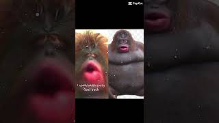 Fard wants the future to wait funny monke gorilla [upl. by Shadow]