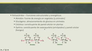 Biomoléculas orgánicas [upl. by Leland]