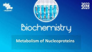 L4 Metabolism of nucleoprotein Biochemistry [upl. by Robbi]