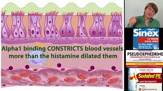 Decongestants Oxymetazoline phenylephrine and pseudoephedrine [upl. by Ainahpets]