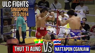 Thut Ti Aung Vs Nattapon Lethwei Fight 2014 [upl. by Simpson]