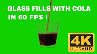 Glass fills with Cola  Green Screen  Free Download  4K 60 FPS [upl. by Raama]