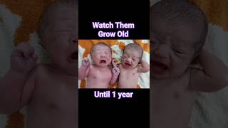 Cute Twin Newborn Babies timelapse until one Year [upl. by Odnolor]