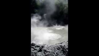 Volcanic mud pool near Rotorua New Zealand [upl. by Lauer]