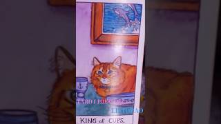 TAROT PROGNOZA LISTOPAD uppbeat tarot lew kartytarota listopad [upl. by Arahas]