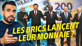 Dédollarisation  la stratégie des BRICS  Octogone21 [upl. by Iras]