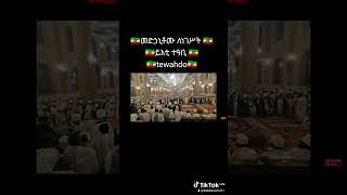 መድኃኒቶሙ ለነገሥት ይእቲ ተዓቢ yiti teabi ኅሩይ1331 [upl. by Asillim]