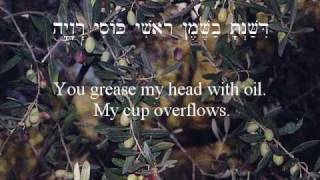 Psalm 23 YAHVEH is my Shepherd vocals by Yakov [upl. by Einner]