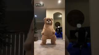 The teddy caught the beatbts83shortsviralirealylikeyourbodysongteddybeardancecuteteddyv [upl. by Zennas]