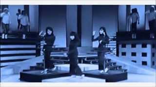 The Ronettes  The Twist WMV [upl. by Loats]