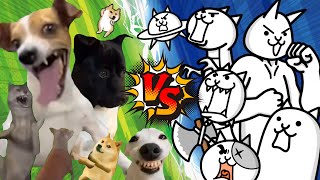 【にゃんこ大戦争】にゃんこ軍団 VS 犬ミーム軍団【アニメ】【猫ミーム】The battle cats VS Doge meme【Cat meme】 [upl. by Richella]