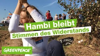 Stimmen aus der Protestbewegung für den Hambacher Wald [upl. by Atsyrc426]