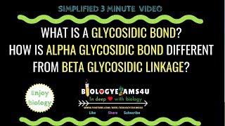 What is a Glycosidic bond Difference between alpha and beta Glycosidic linkage [upl. by Atinniuq]