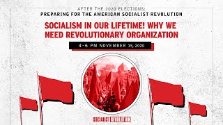 Socialism in Our Lifetime Why We Need a Revolutionary Organization [upl. by Cedric982]