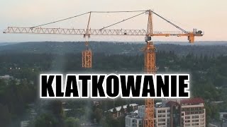 Klatkowanie Żurawia Wieżowego [upl. by Arba494]