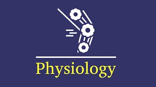 L2 physiology anemia and polycythemia [upl. by Stultz]