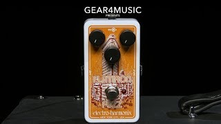 Electro Harmonix Flatiron Fuzz  Gear4music demo [upl. by Nylasoj235]