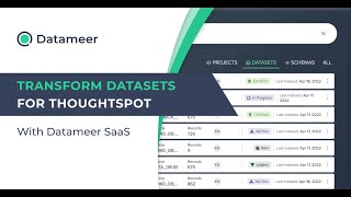 Datameer for ThoughtSpot [upl. by Ahsasal]