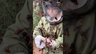 BeeMystery What Is She Doing With These Bees  Fascinating Short Clip [upl. by Yliak]