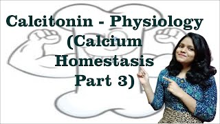 Calcitonin Physiological actions I Calcium homeostasis 3 I Endocrine Physiology [upl. by Akenal]