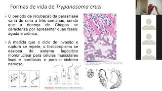 6 AULA  Prática – Trypanosoma cruzi Leishmania sp – morfologia patogenias e diagnóstico [upl. by Bez]